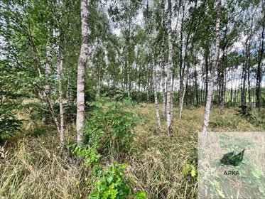 działka na sprzedaż 3412m2 działka Storkowo