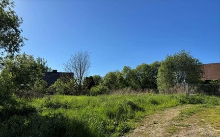 Działka 1069 m² pod zabudowę z mediami i dostępem do drogi działka Połomia