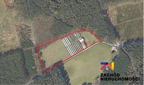 Lokal użytkowy na sprzedaż Zielona Góra, Racula 23 200m2 Foto 2