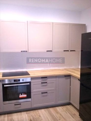 mieszkanie na wynajem 47m2 mieszkanie Zielona Góra