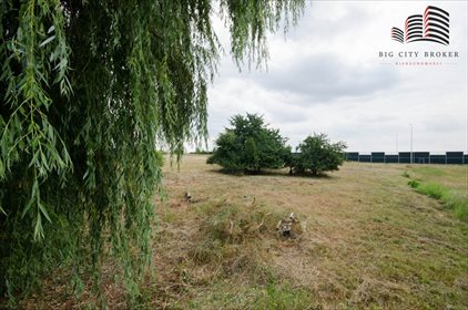 Działka budowlana na sprzedaż Łagiewniki 2 661m2 Foto 7