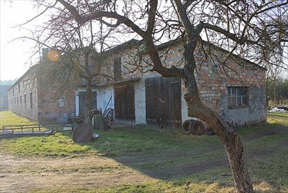Magazyn na sprzedaż Brzozowiec 700m2 Foto 2