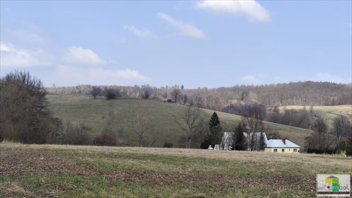 działka na sprzedaż 4300m2 działka Zagórze Śląskie