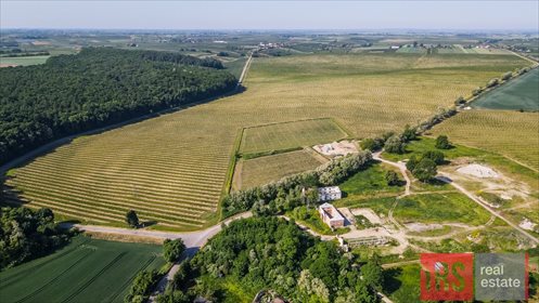 Działka inwestycyjna na sprzedaż Czyżów Szlachecki 23 730m2 Foto 7