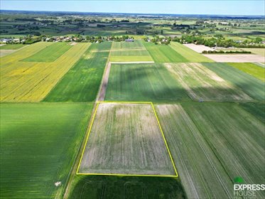 działka na sprzedaż 9900m2 działka Świerszczów