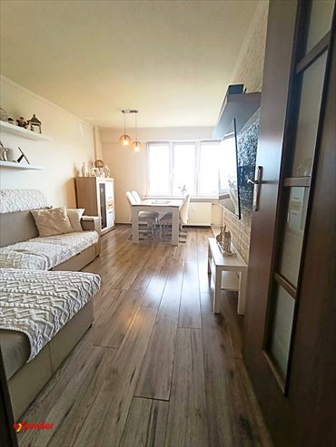 Przestronne 2 pokoje z loggią, jasne wnętrza, gotowe do zamieszkania mieszkanie Poznań, Piastowskie