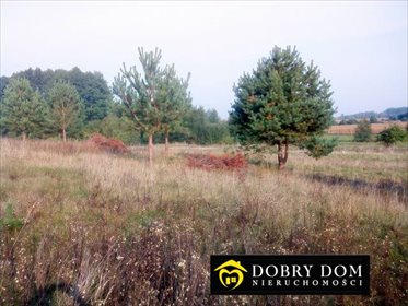 Działka 3000 m² z widokiem - blisko Białegostoku działka Iwanówka