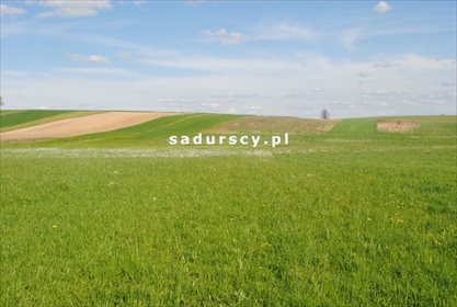 Działka rolna na sprzedaż Ściborzyce 34 334m2 Foto 1
