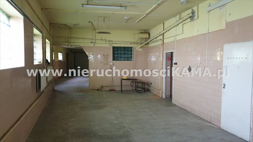 Magazyn na wynajem Bielsko-Biała, Olszówka 230m2 Foto 2