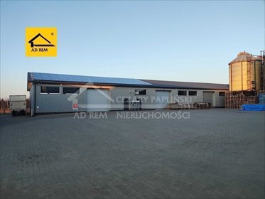 Nowoczesny magazyn 900 m² z biurem w Kurowie - zapraszam lokal użytkowy Kurów, Kurów