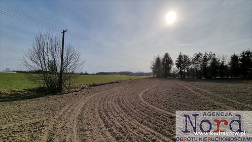 działka na sprzedaż 3002m2 działka Prudziszki