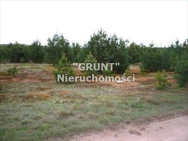 działka na sprzedaż 4628m2 działka Skórka