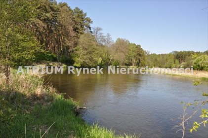 Lokal użytkowy na sprzedaż Biała 592m2 Foto 2