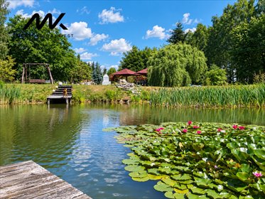 Dworek w parku z stawem i ogrodem 13 000 m² dom Głuchów, Warszawska
