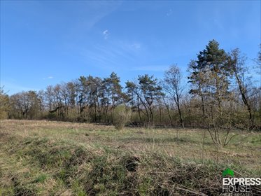 działka na sprzedaż 1200m2 działka Żółwin