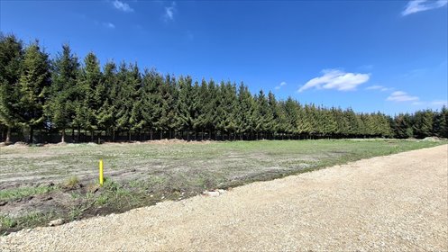 Działki budowlane w Rydzynach, 800 m², blisko Pabianic działka Rydzyny