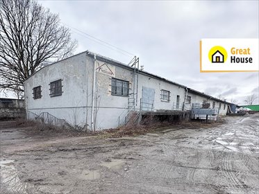 Hala magazynowa z biurem i zapleczem, 1050 m², Racibórz magazyn Racibórz, Wiejska