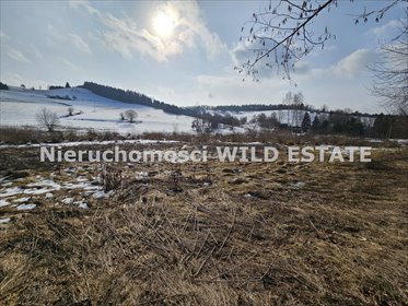 Działka 6 466 m² w Brelikowie (blisko natury i mediów) działka Ustrzyki Dolne, Brelików