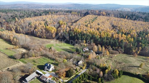 działka na sprzedaż 23800m2 działka Cisów