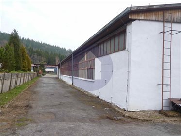 Magazyn na sprzedaż Szczytna 8 500m2 Foto 3