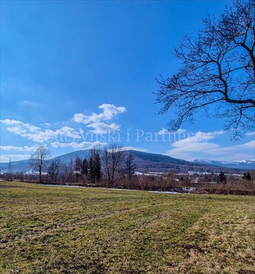 działka na sprzedaż 55000m2 działka Kowary