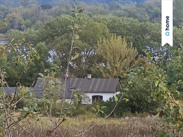 Zapraszam do sprzedaży działki 3 900 m² z domem i stodołą działka Kucerz