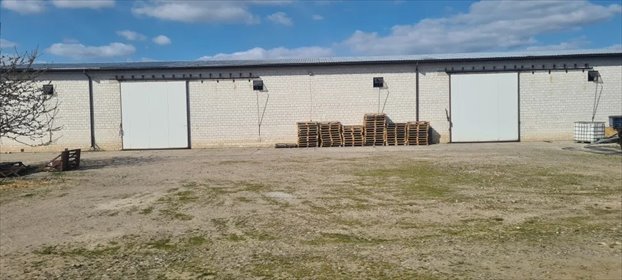Magazyn 700m² z placem, wjazdami i monitoringiem lokal użytkowy Wypędy, Wypędy