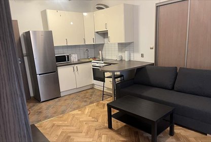 Mieszkanie na wynajem 39m2 mieszkanie Poznań, Winogrady, Winogrady