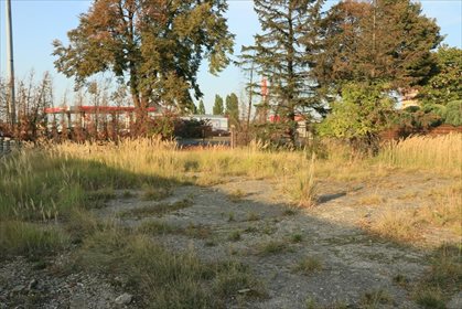 działka na wynajem 1500m2 działka Kalisz