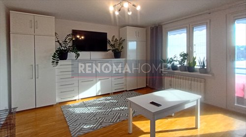 mieszkanie na sprzedaż 50m2 mieszkanie Zielona Góra