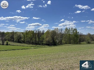 Działka 60a pod dom i uprawy, piękne widoki, asfalt działka Huta Nowa