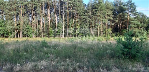 działka na sprzedaż 1500m2 działka Marynin