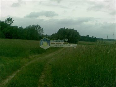 działka na sprzedaż 10201m2 działka Nowe Radzikowo