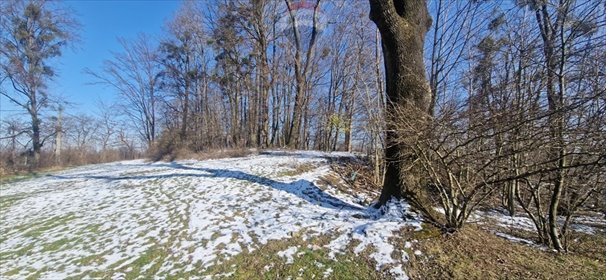 Działka inwestycyjna na sprzedaż Jasienica 20 427m2 Foto 4