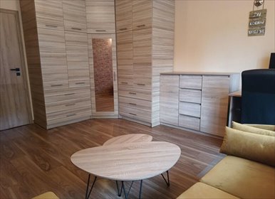 Przestronne 2 pokoje z piwnicą, blisko lasu, Jaworzno mieszkanie Jaworzno, ks. Jana Sulińskiego