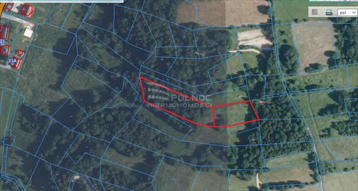 działka na sprzedaż 4300m2 działka Ochotnica Dolna