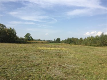 Do sprzedania działka rolna 34 000 m² pod zabudowę i rekreację działka Klembów