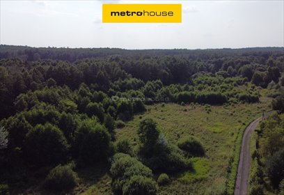 Działka 54 618 m² z lasem i stawami - zapraszam działka Głuchów
