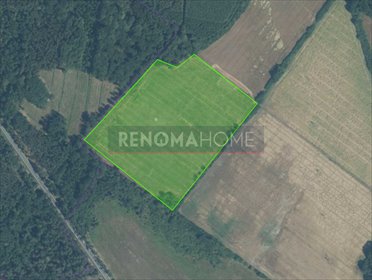 Działka rolna 57 800 m² z dobrym dojazdem (Kawice) działka Kawice