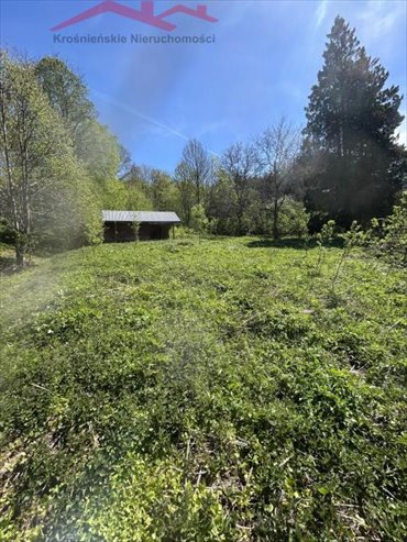 Urokliwa działka 1567 m² z widokami na lasy i naturę działka Iwonicz-Zdrój