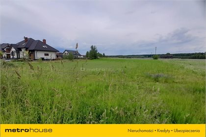 Działka rolna na sprzedaż Milejowice, Zakrzew 1 425m2 Foto 4