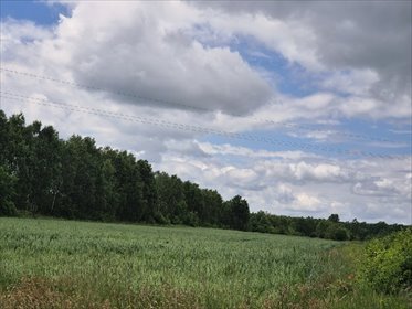 Działka 1,4 ha z MPZP, las i asfalt, polecam działka Kłomnice, Zawada