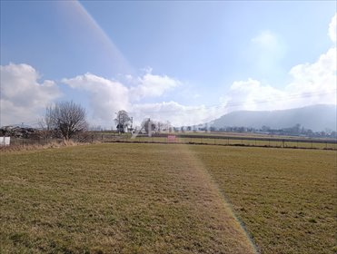 działka na sprzedaż 3706m2 działka Ustroń, Lipowiec, Przetnica