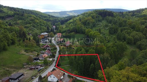 Działka 3800 m² w Lasocinie - cisza, natura, potencjał. działka Pieszyce