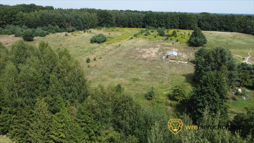 działka na sprzedaż 1200m2 działka Dąbrowa