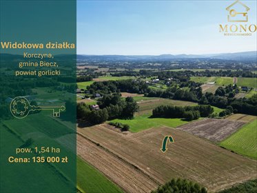 działka na sprzedaż 15400m2 działka Korczyna