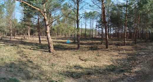Działka budowlana nad jeziorami w sercu lasu, 1000 m2 działka Bukowiny