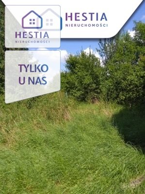 działka na sprzedaż 2600m2 działka Mielęcinek