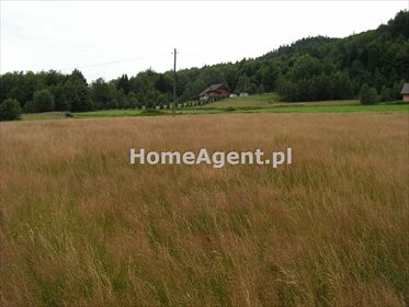 Działka budowlana na sprzedaż Skawica, Sucha Góra 14 591m2 Foto 2