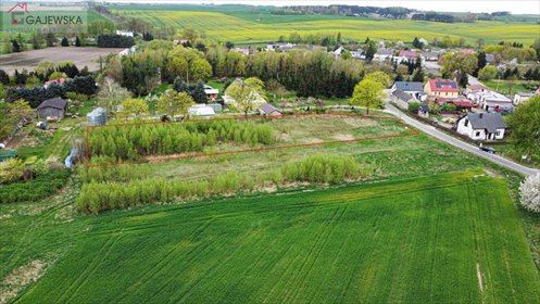Na sprzedaż działka 3000 m² z warunkami zabudowy w Leżenicy działka Leżenica, Leżenica